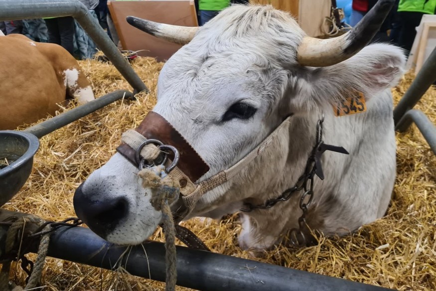 Hautes-Pyrénées : 3,2 millions d'euros investis par l'Etat dans la lutte contre la DNC
