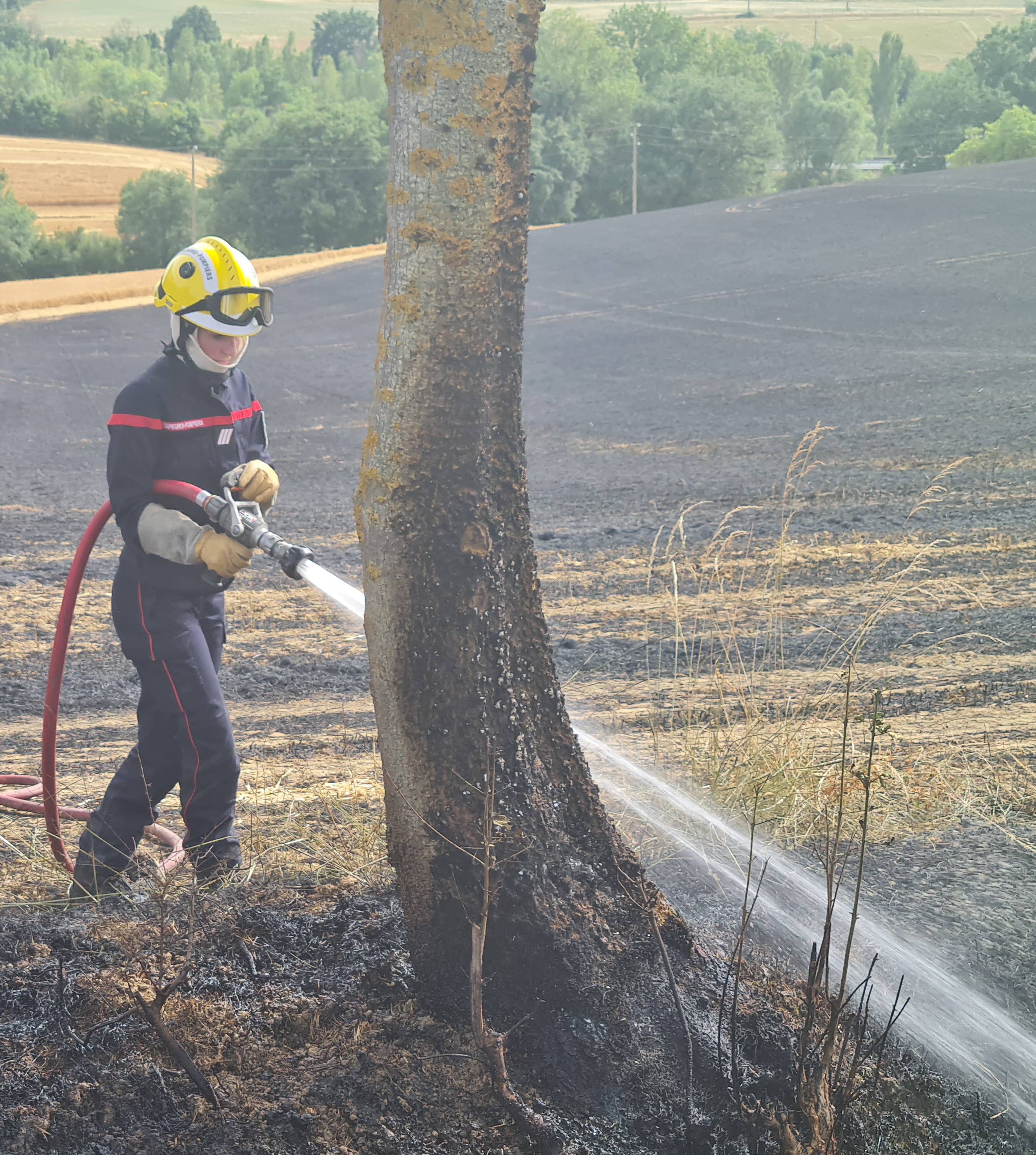 20220614_172152.jpg (2.46 MB)