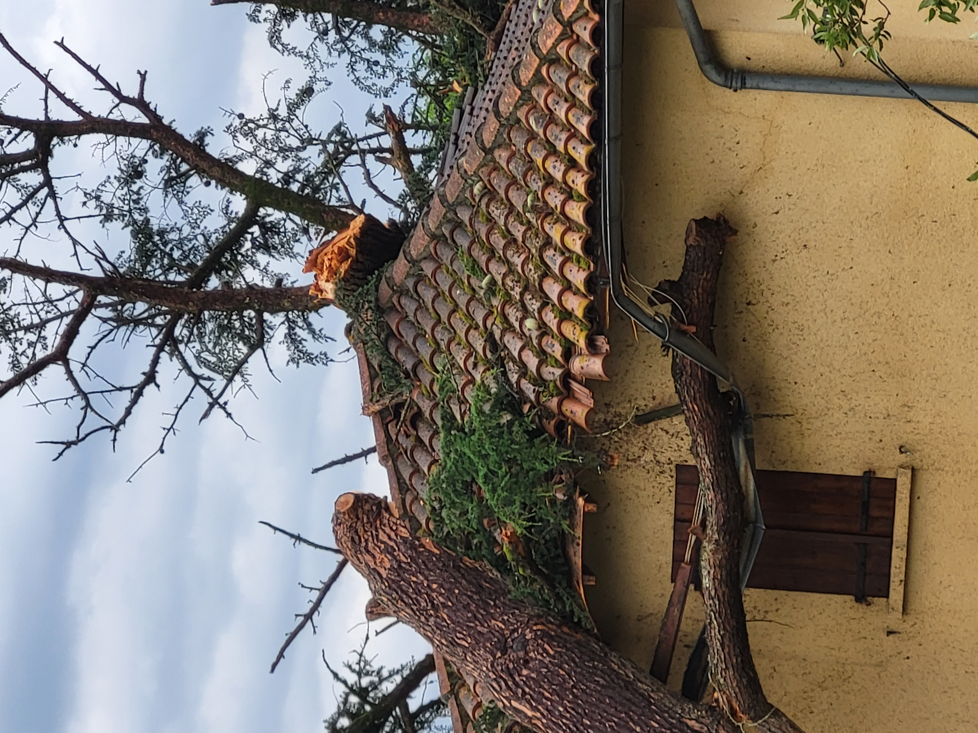 20230620_193552.jpg (1.94 MB)