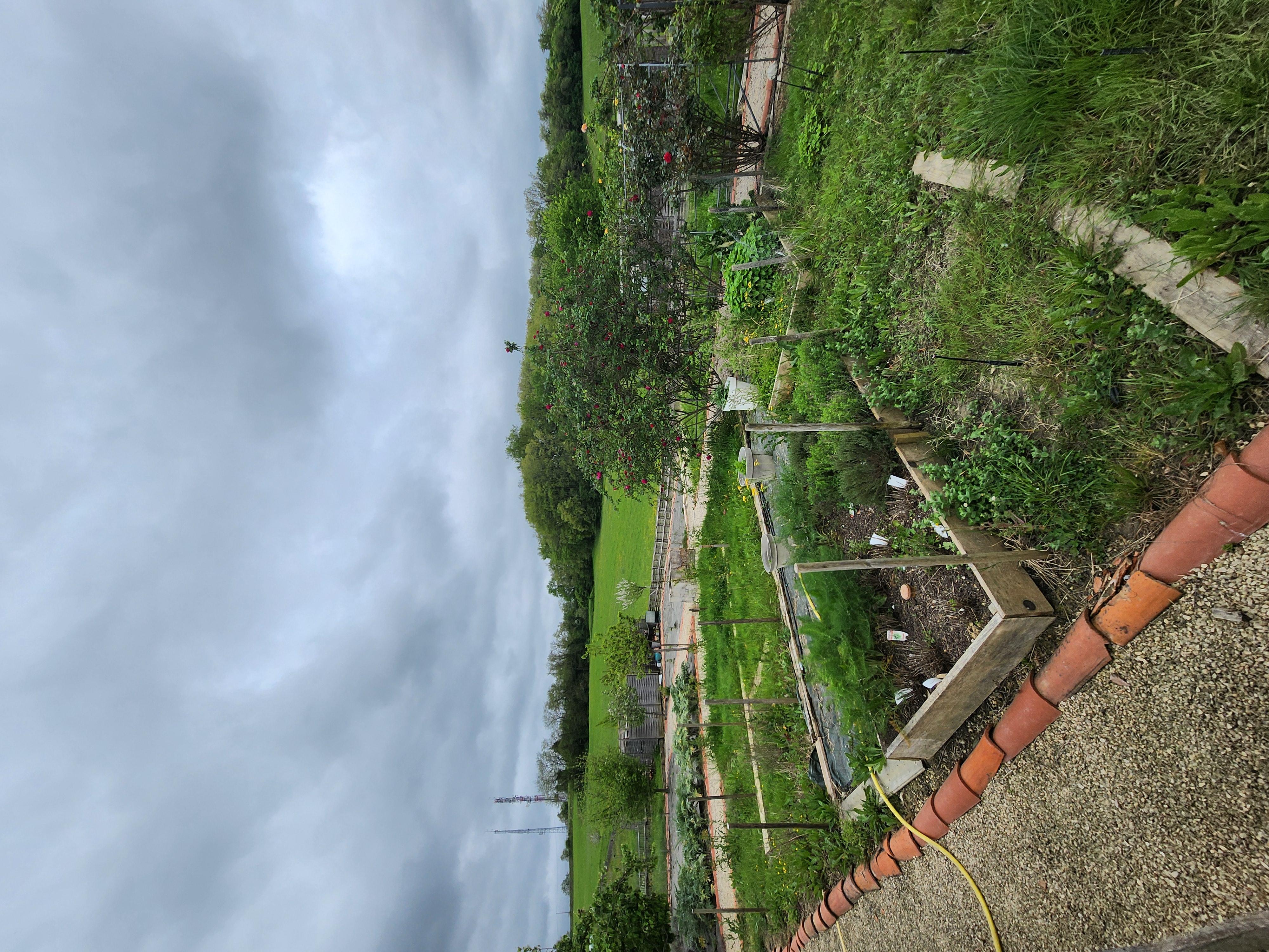 20240415_112635.jpg (4.13 MB)