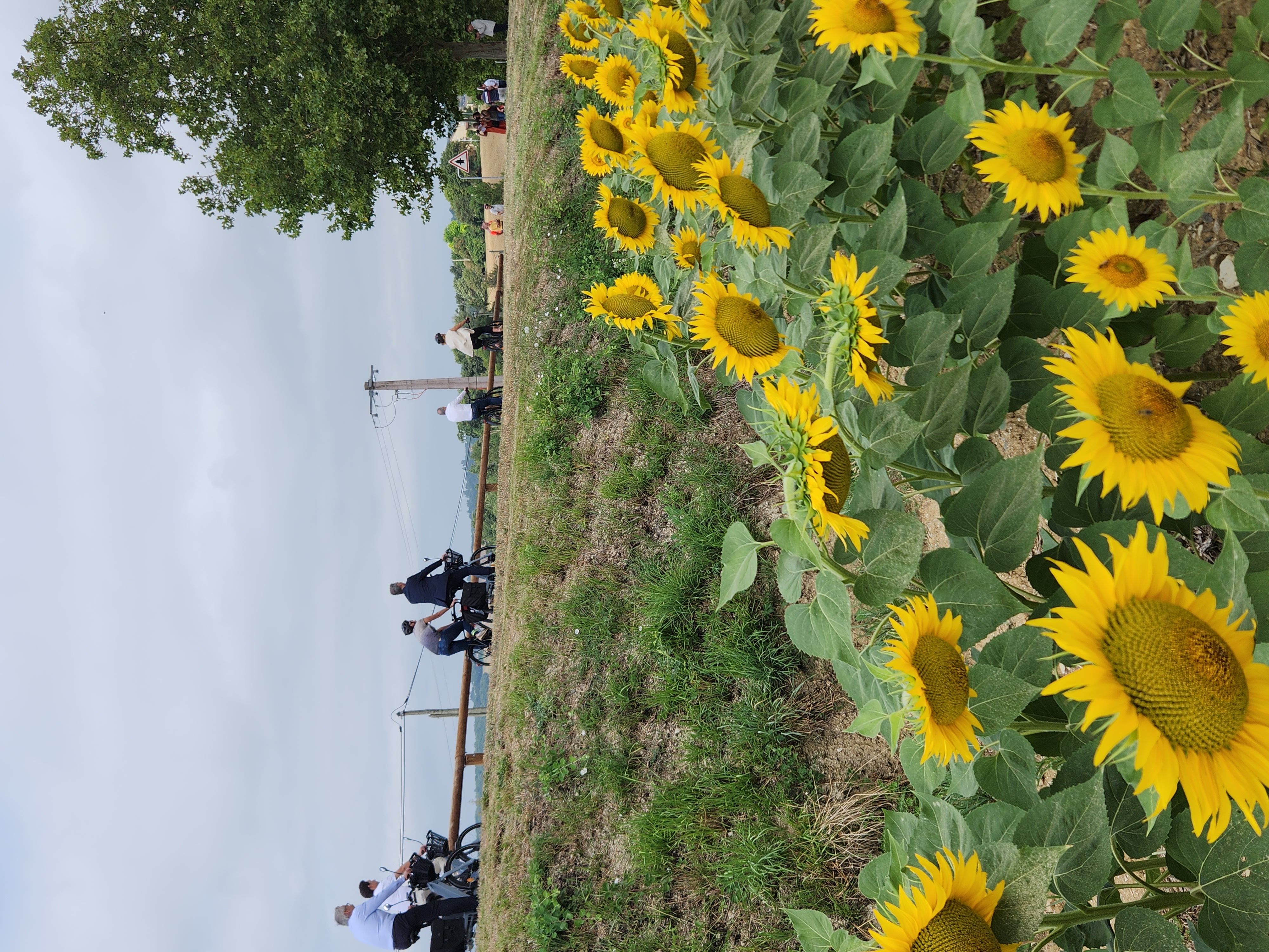 20240801_114814 (1).jpg (3.10 MB)