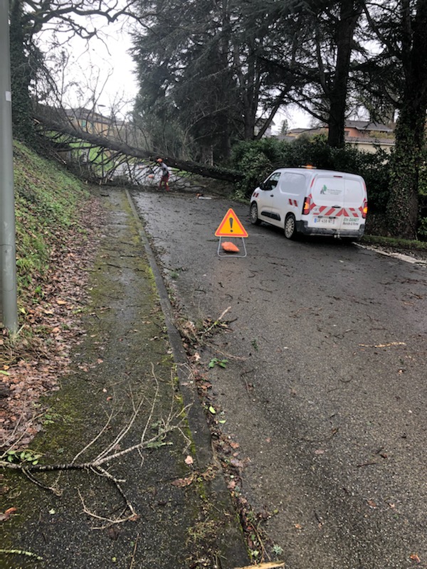 IMG_090011.jpg (226 KB)