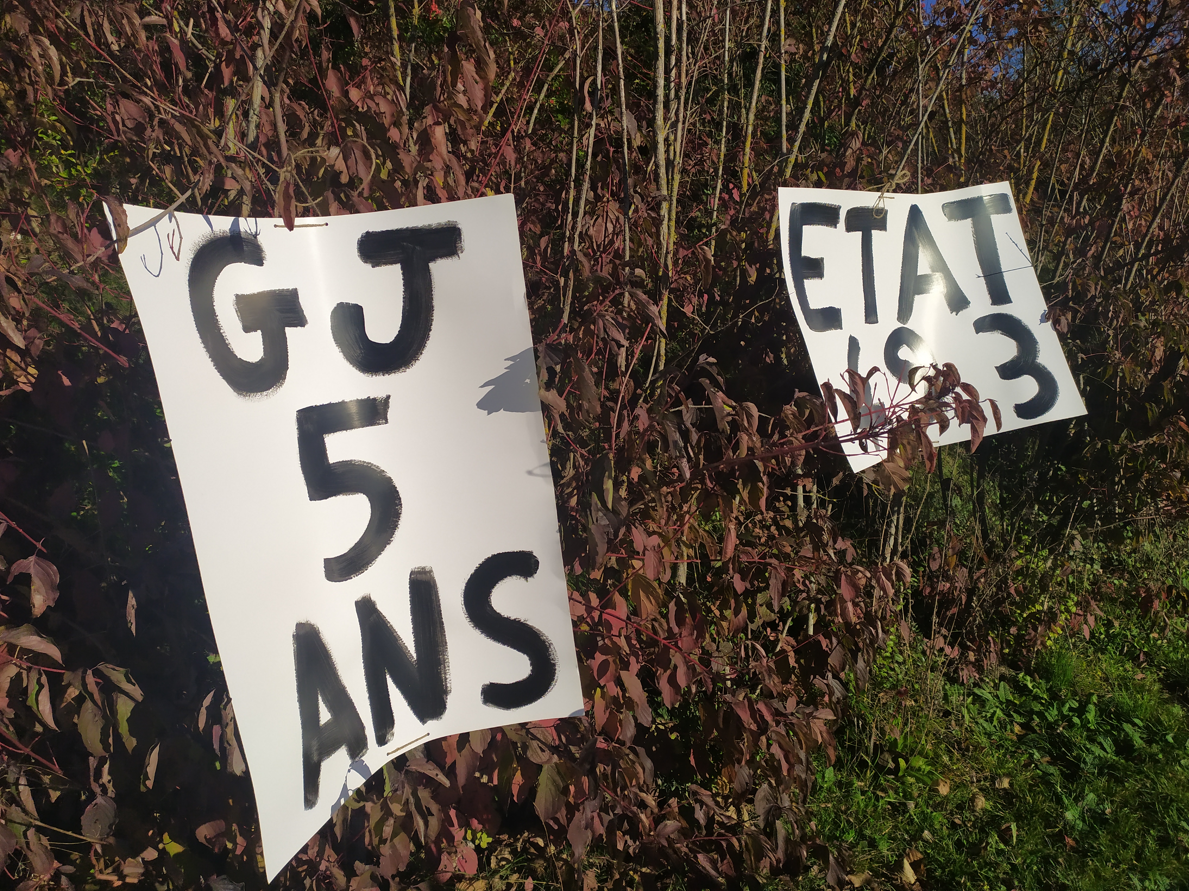 IMG_20231118_101518.jpg (7.00 MB)