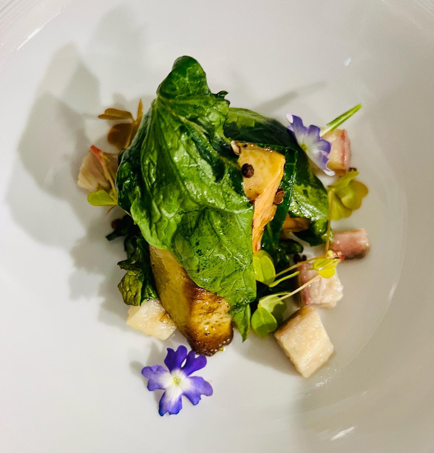 Le florida 1.jpg (164 KB)