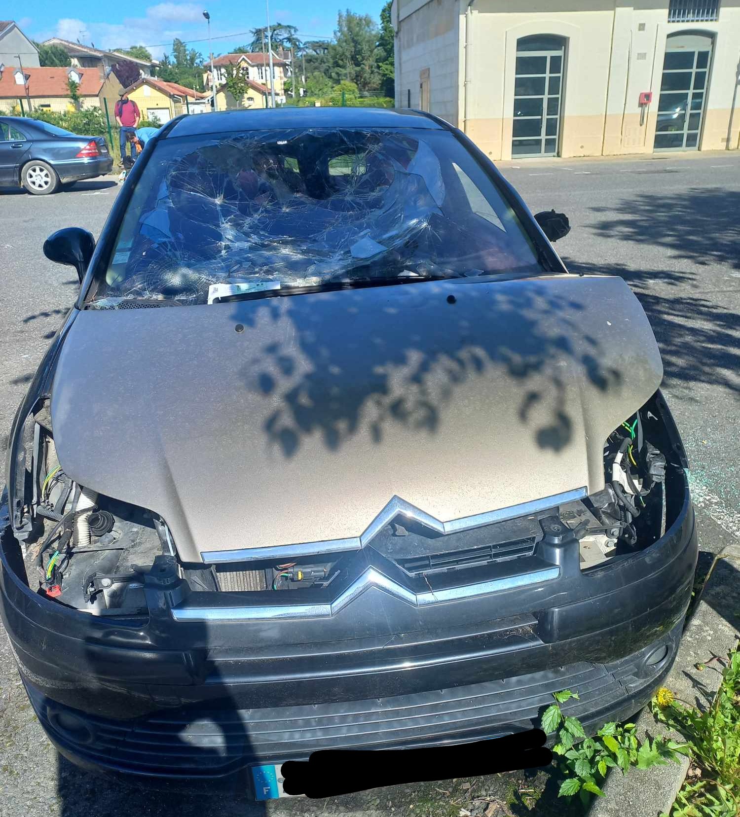 Messenger_creation_24d9f053-e96d-4587-b74a-5250bb2ae72f~2.jpeg (591 KB)