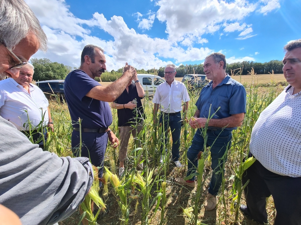 SAVE_20220817_175320.jpg (619 KB)