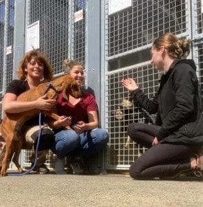 koiu-min.jpg (28 KB)