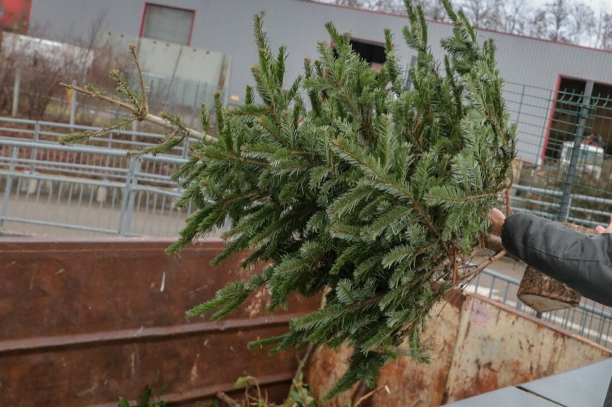 Que faire de son sapin de Noël après les fêtes ?