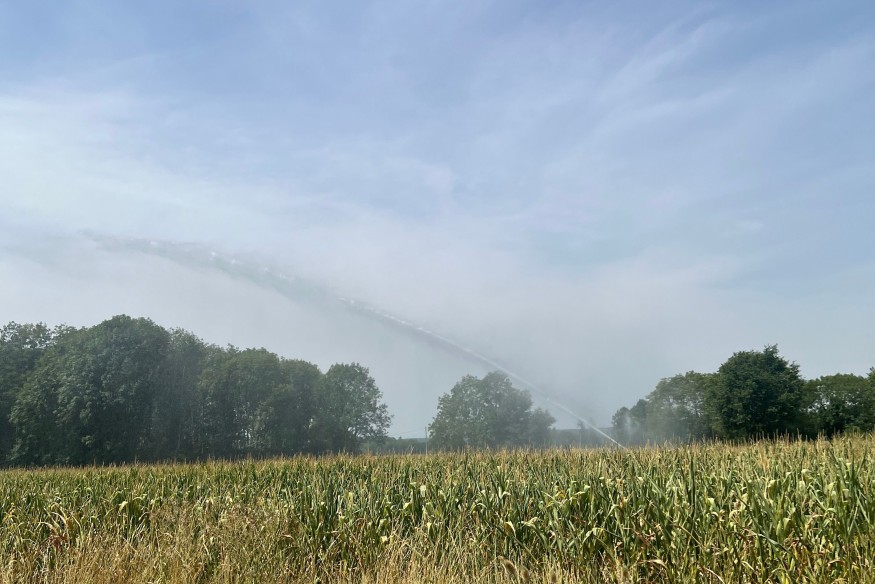 Restrictions d'usage de l'eau : le président de la Chambre d'agriculture du Gers réclame le retrait de l'arrêté, dénonçant des préjudices économiques majeurs