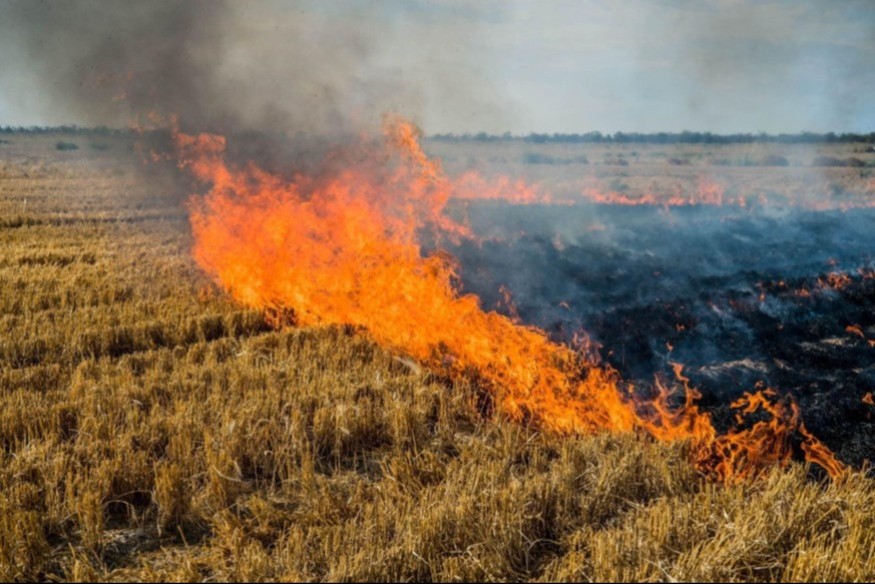 Gers : 30 hectares brûlés dans un important incendie à Caillavet