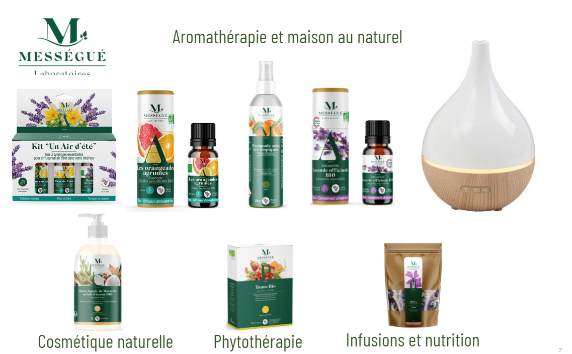 pRODUITS mESSEGU2.png (477 KB)